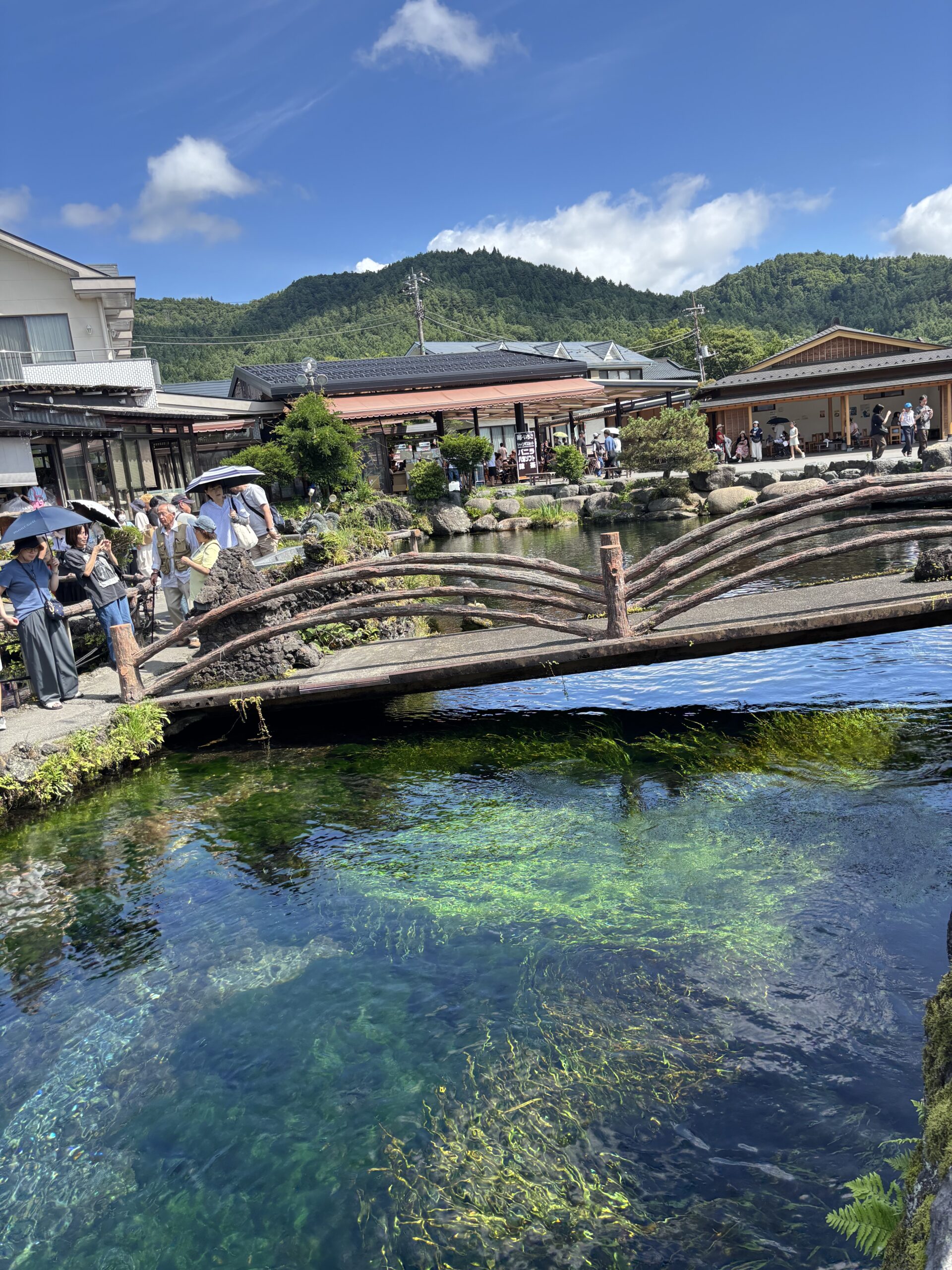 【神栖店】スタッフブログ更新の写真(茨城県神栖市)